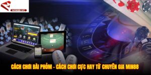 Cách Chơi Bài Phỏm - Cách Chơi Cực Hay Từ Chuyên Gia Min88 