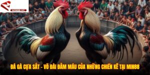 Đá Gà Cựa Sắt - Võ Đài Đẫm Máu Của Những Chiến Kê Tại Min88