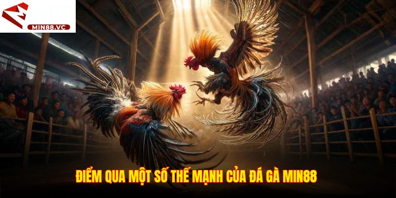 Điểm qua một số thế mạnh của đá gà Min88