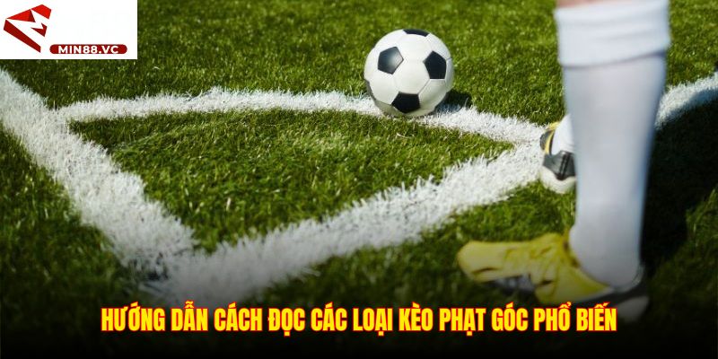 Hướng dẫn cách đọc các loại kèo phạt góc phổ biến